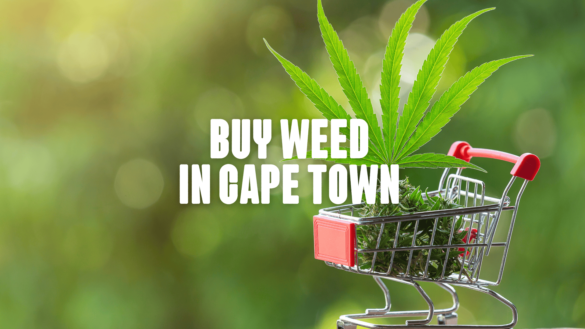 Cannabis Bud in a shopping cart with a leaf on top