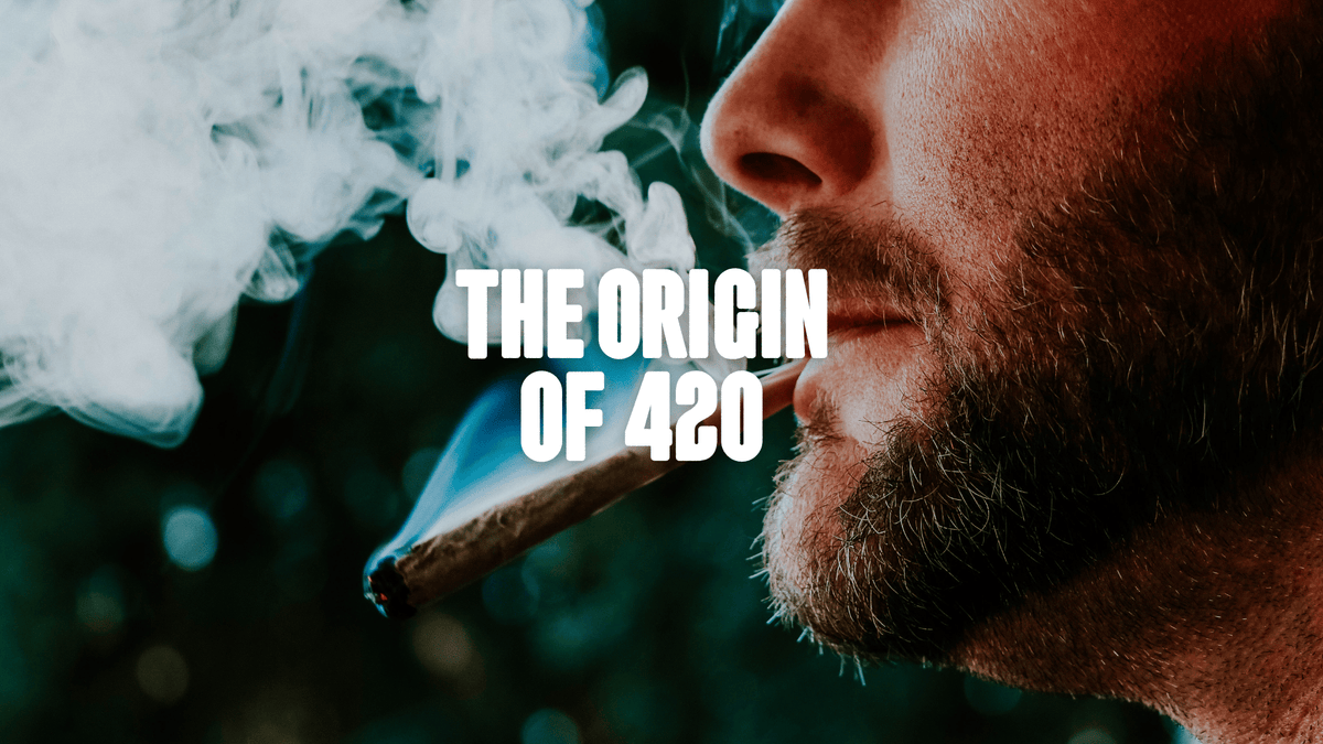 A man with beard smoking a joint