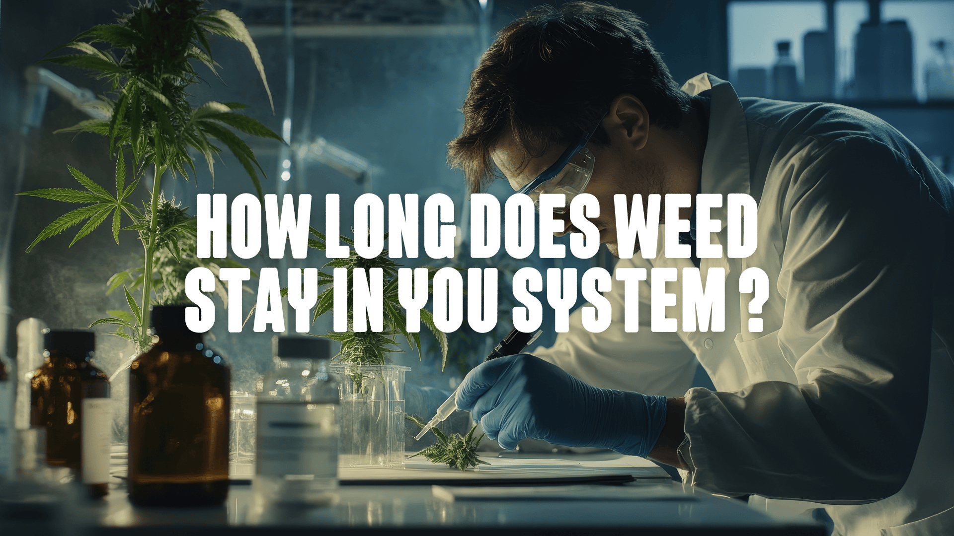 Man in a lab with cannabis flower
