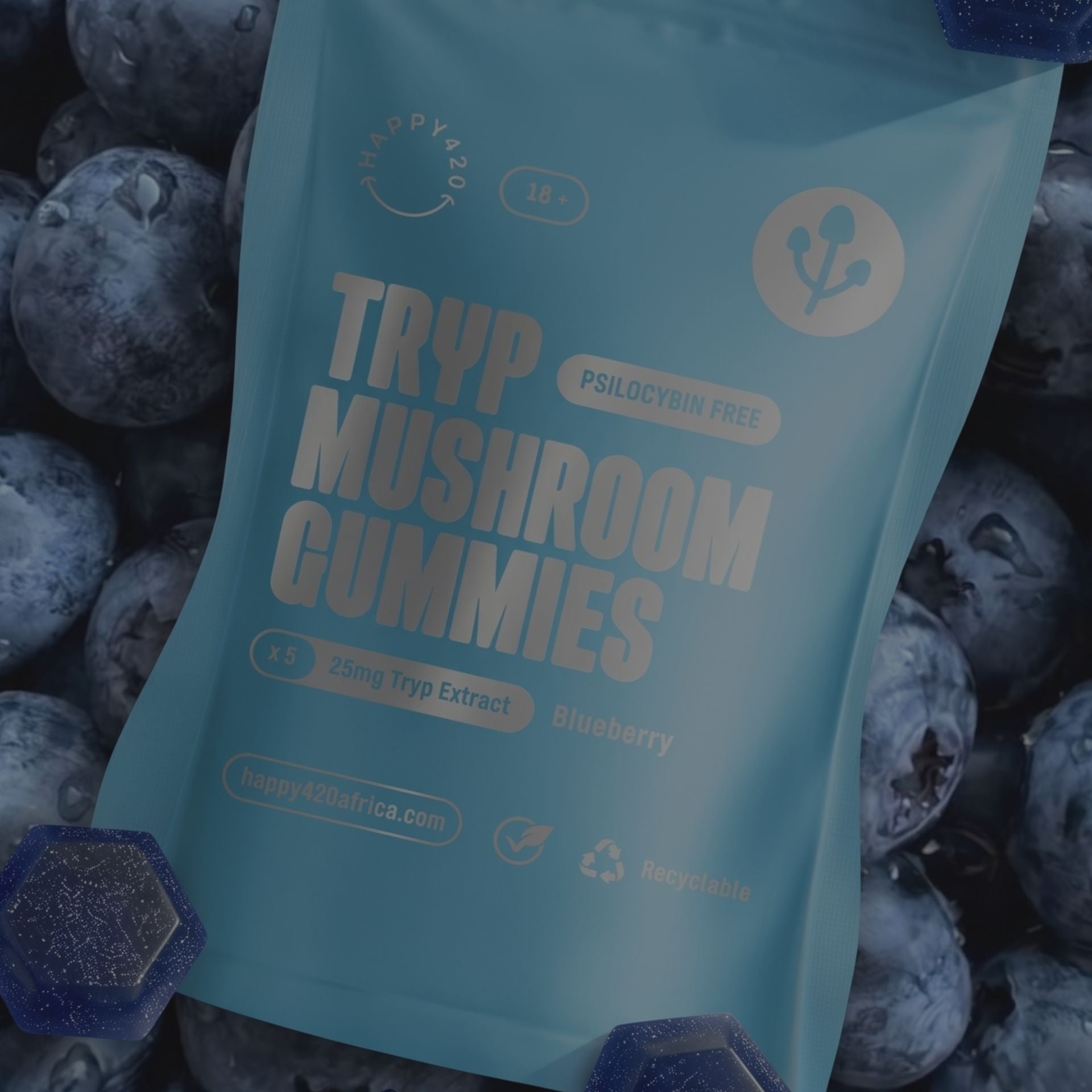Tryp Mushroom