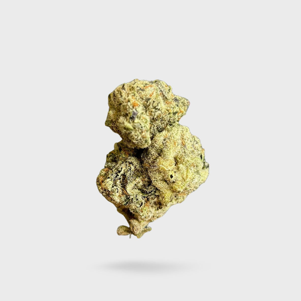 Exotic Indoor Flower - Lucky Slevin