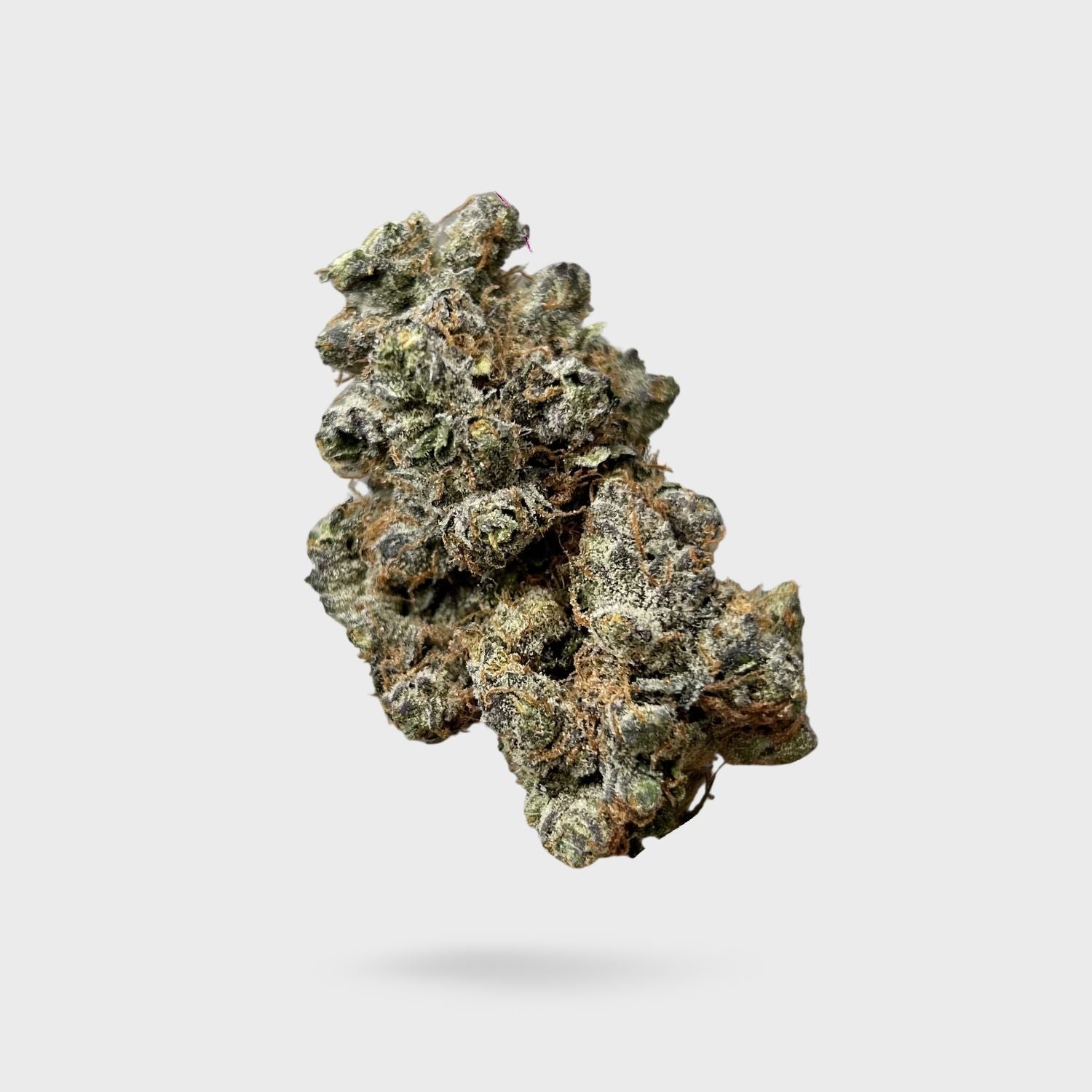 Exotic Indoor Flower - Strawberry Cadillac