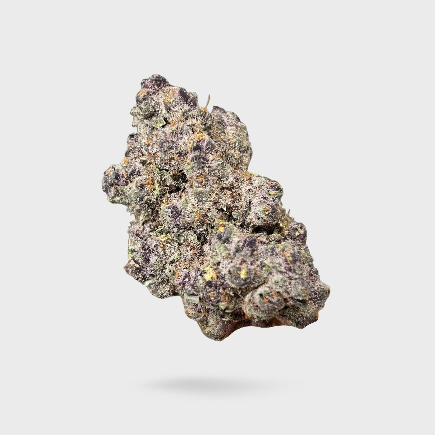 Exotic Indoor Flower - Super Buff Cherry