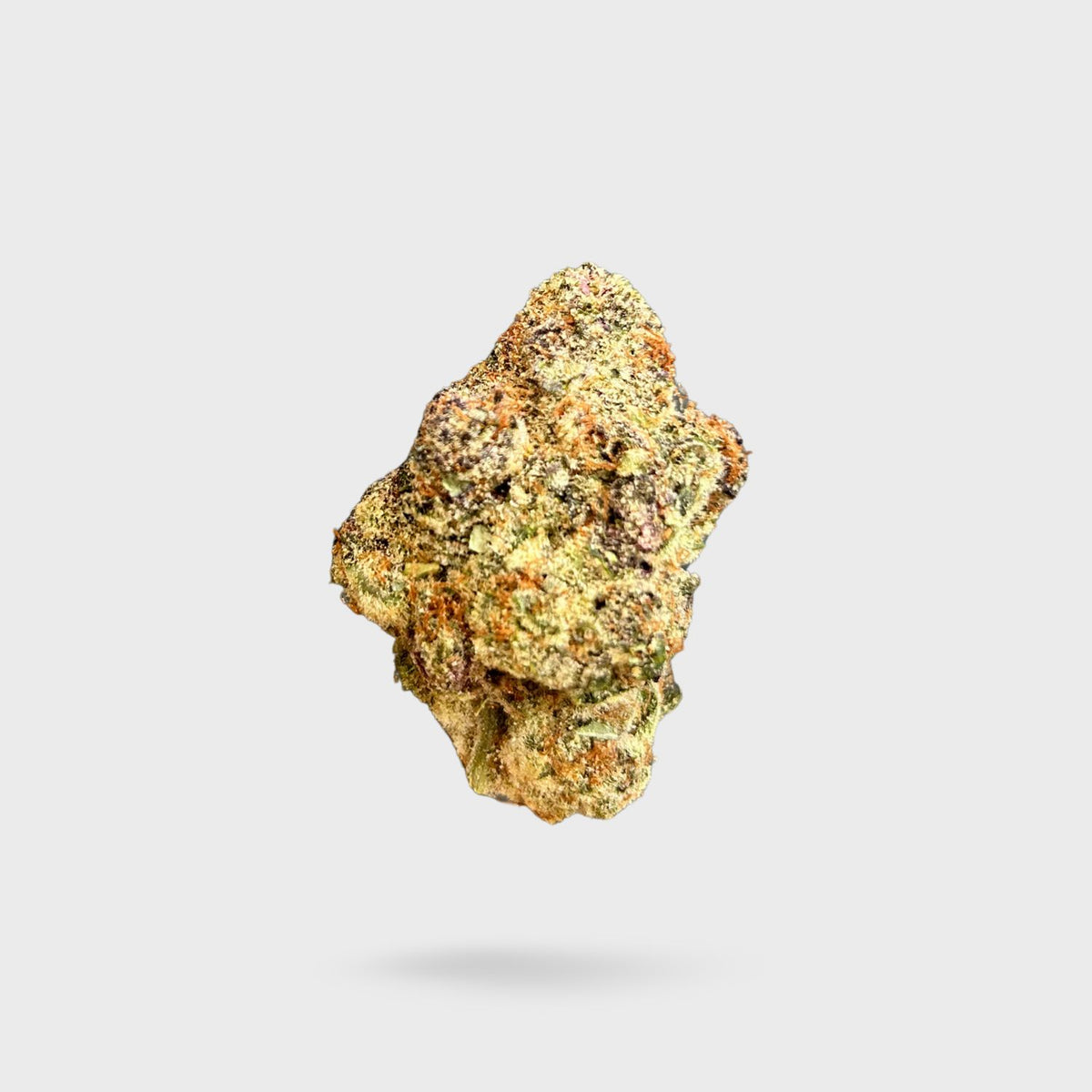Exotic Indoor Flower - Super Berry