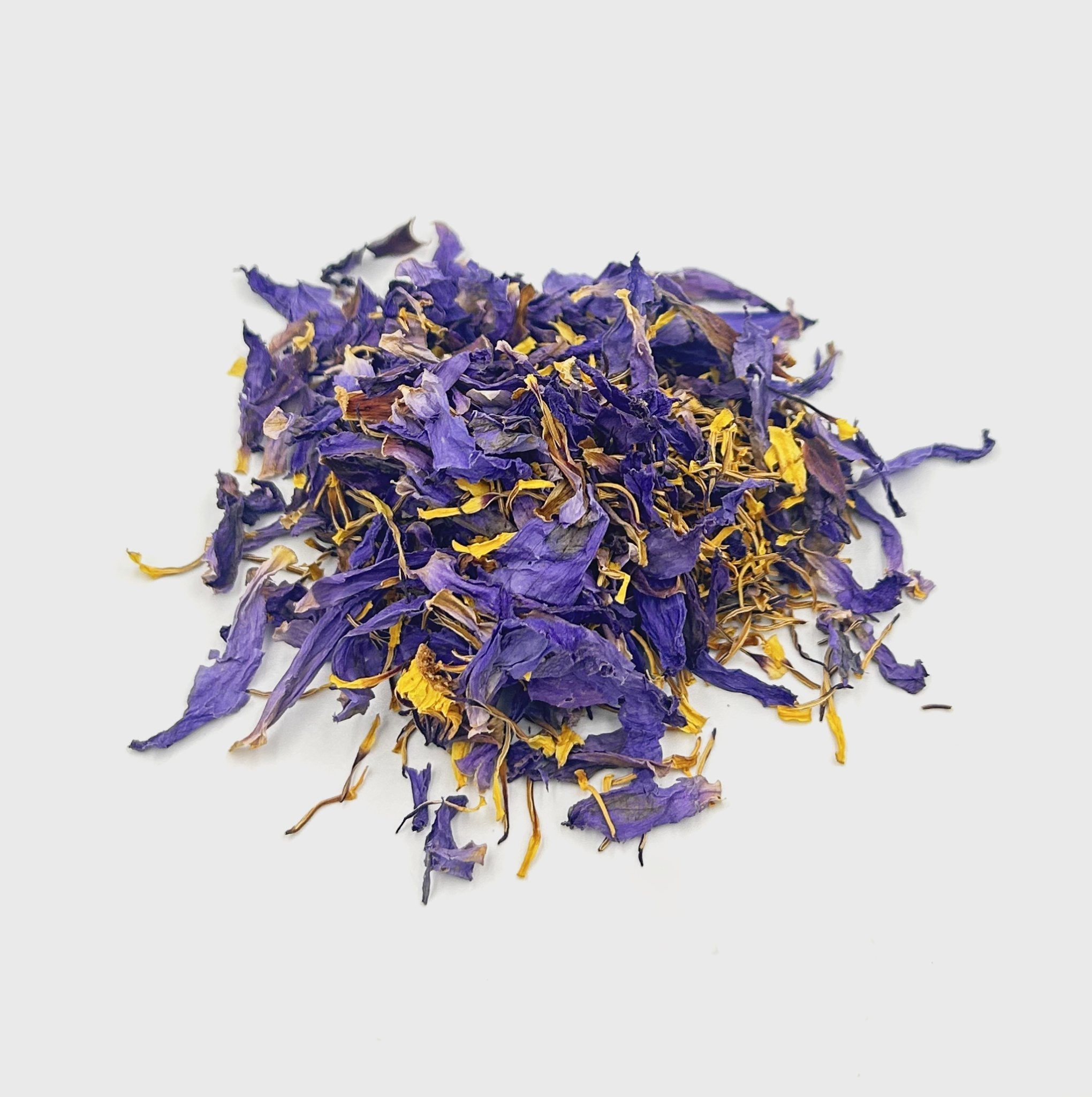 Blauer Lotus Tea