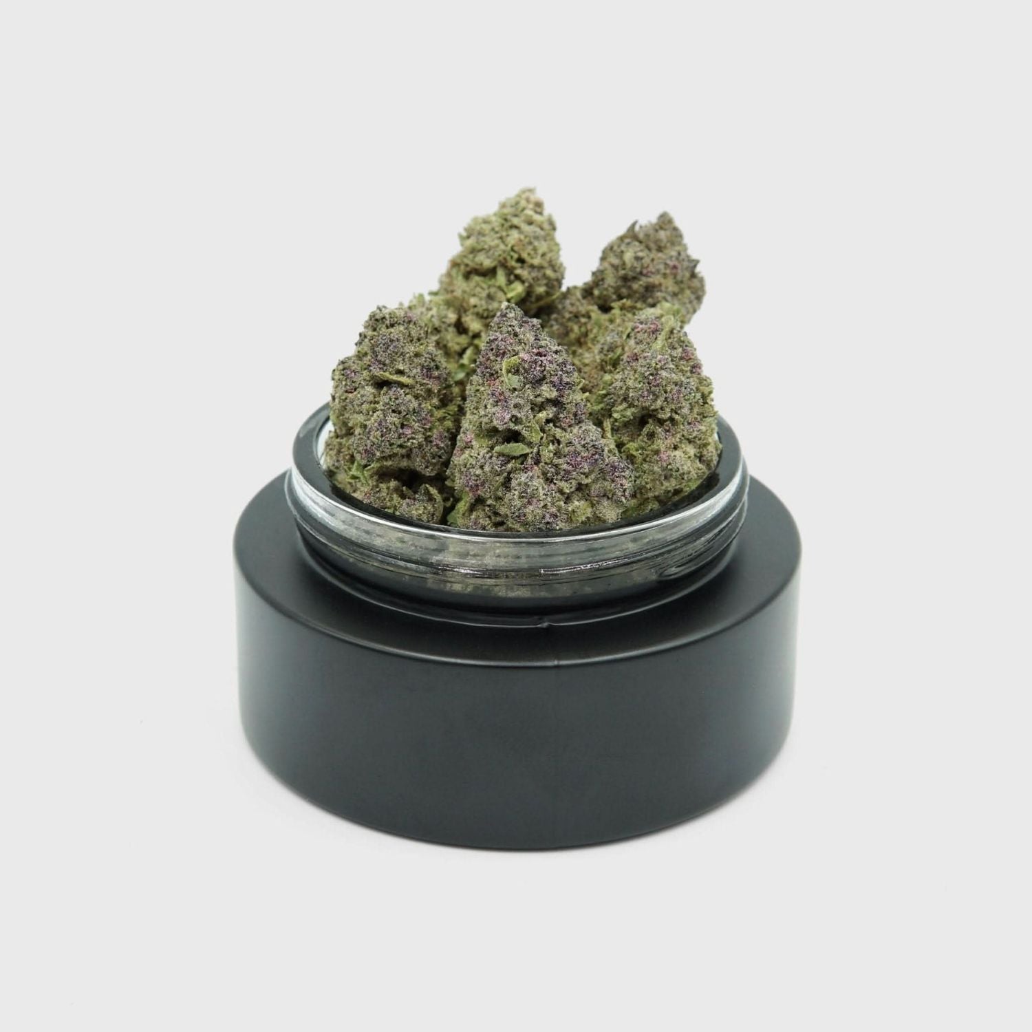 AA+ Indoor Flower - Persian Pie