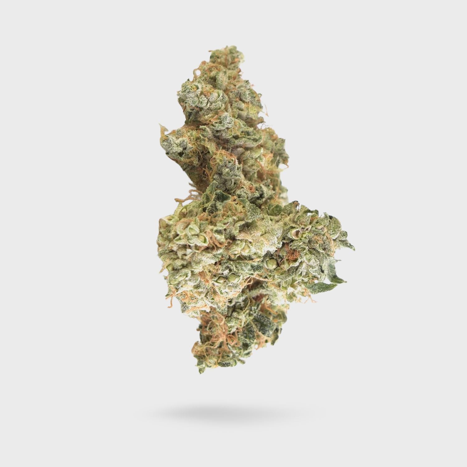 AAA+ Indoor Flower - Jelly Breath