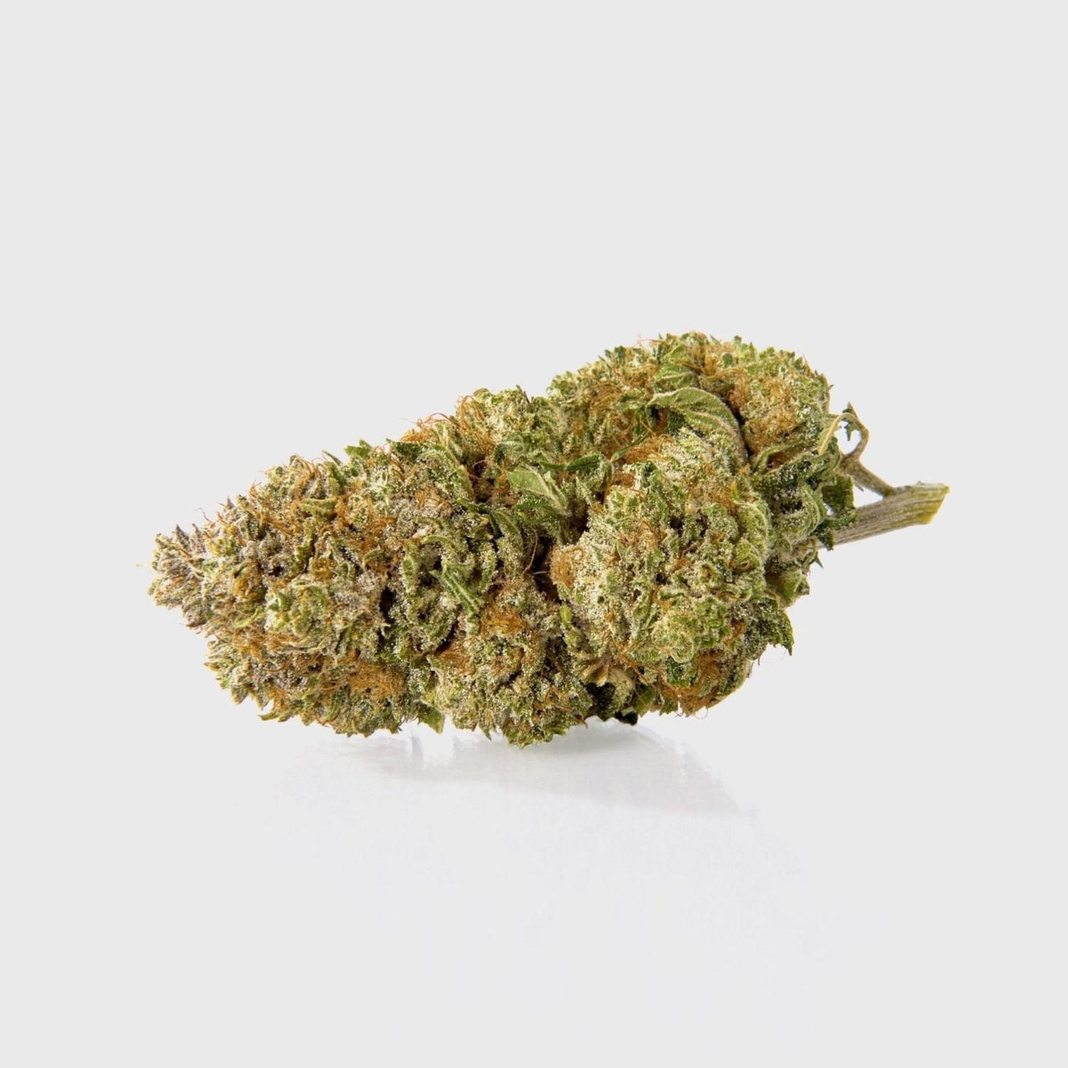 AA+ Indoor Flower - OG Cheese