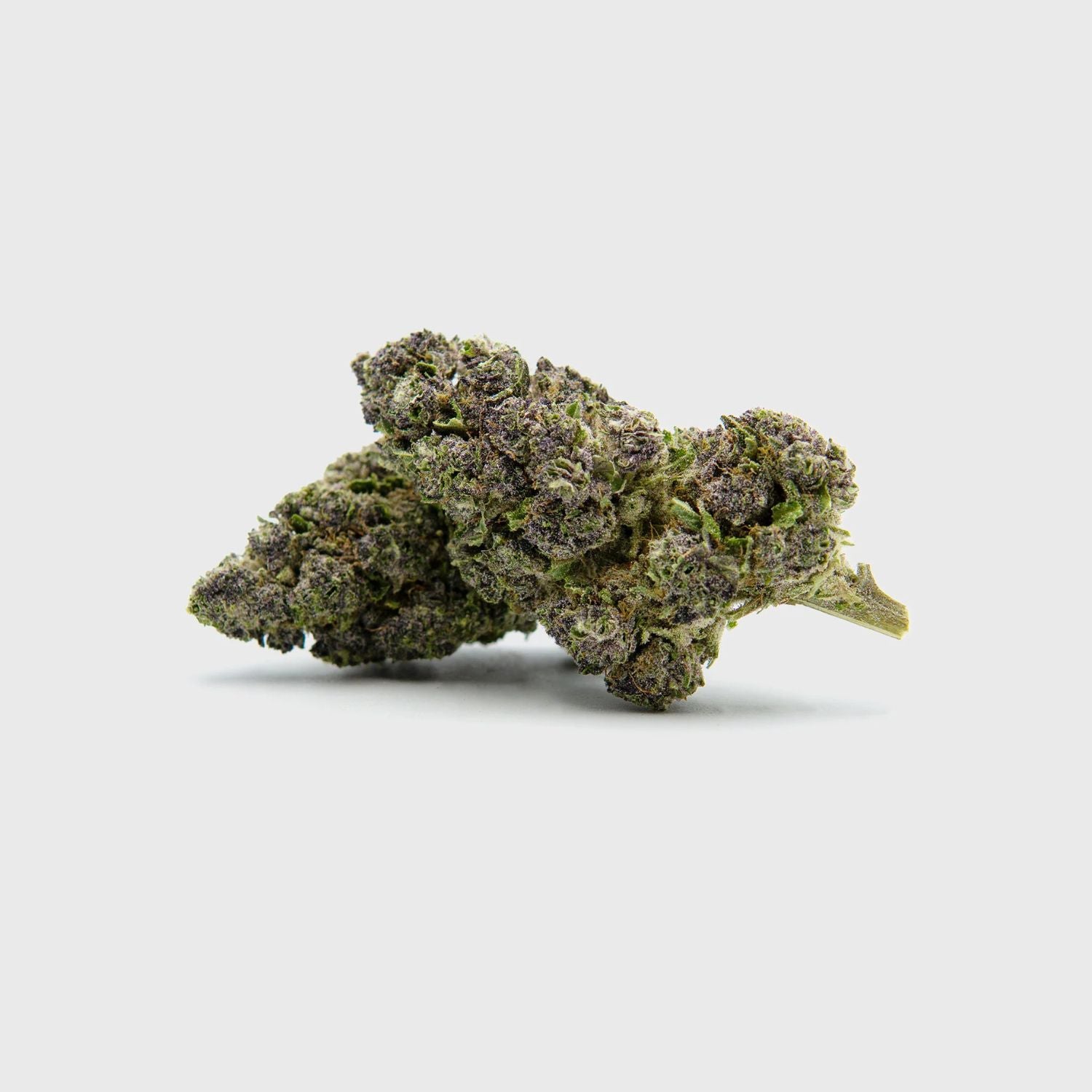 AAA+ Indoor Flower - Pablo's Revenge