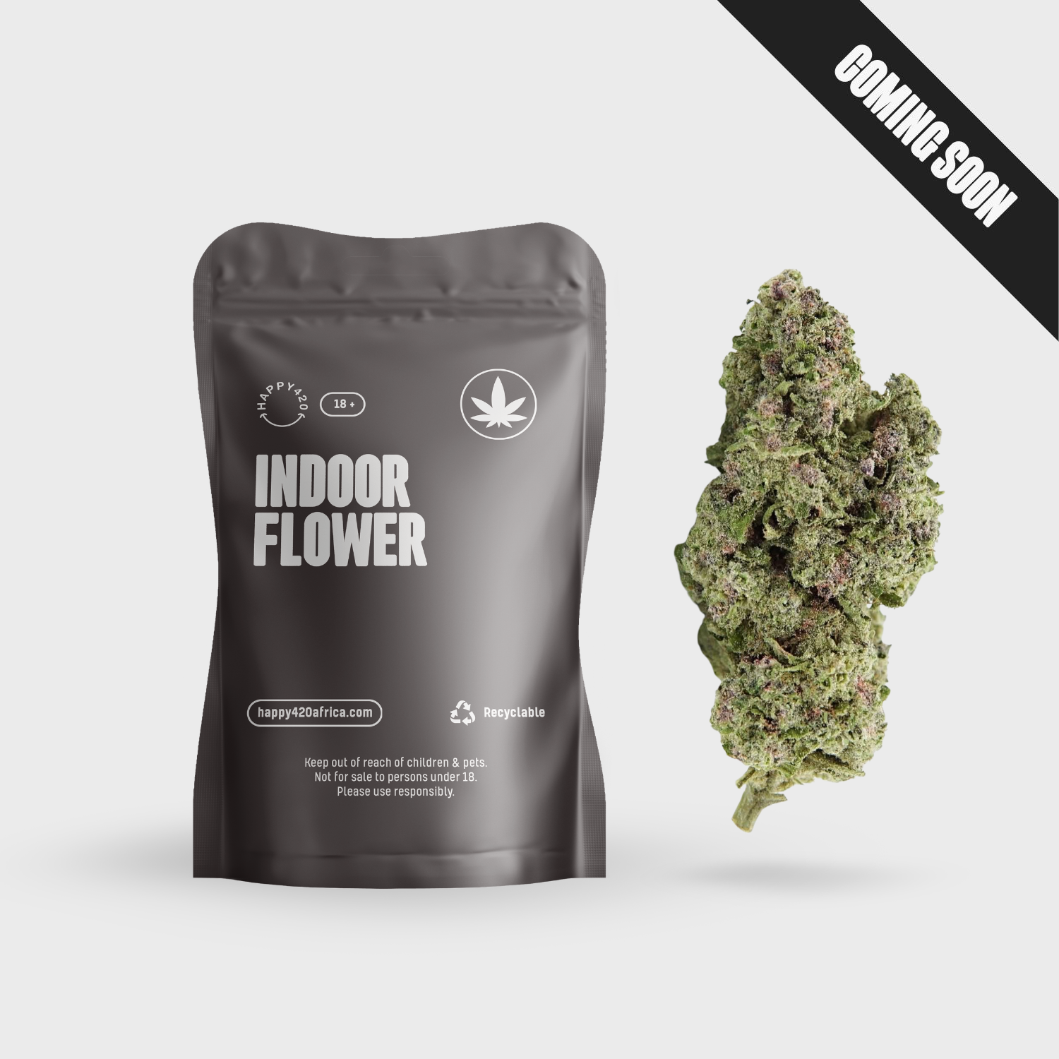AA+ Indoor Flower - Persian Pie