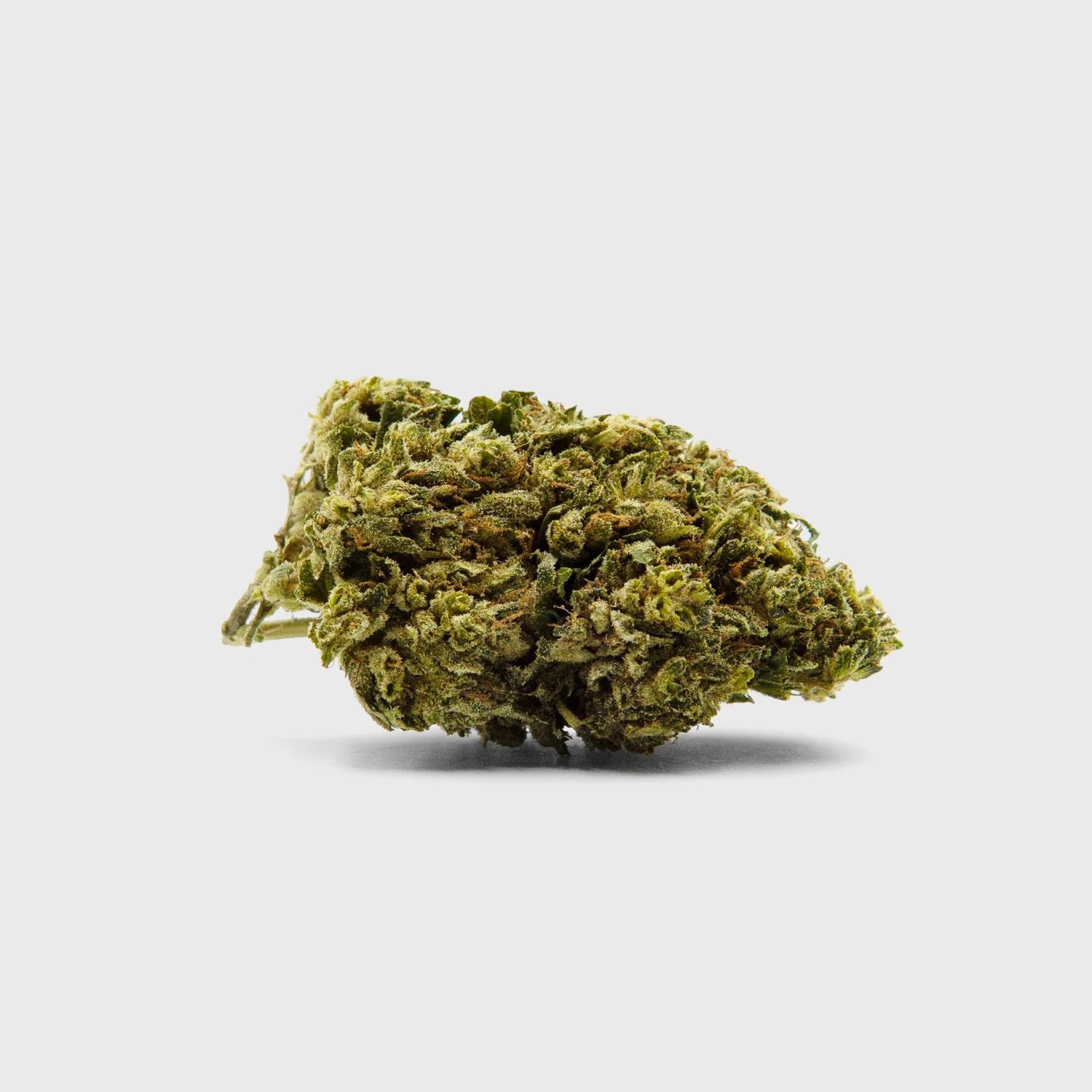 Outdoor Flower - Gelato