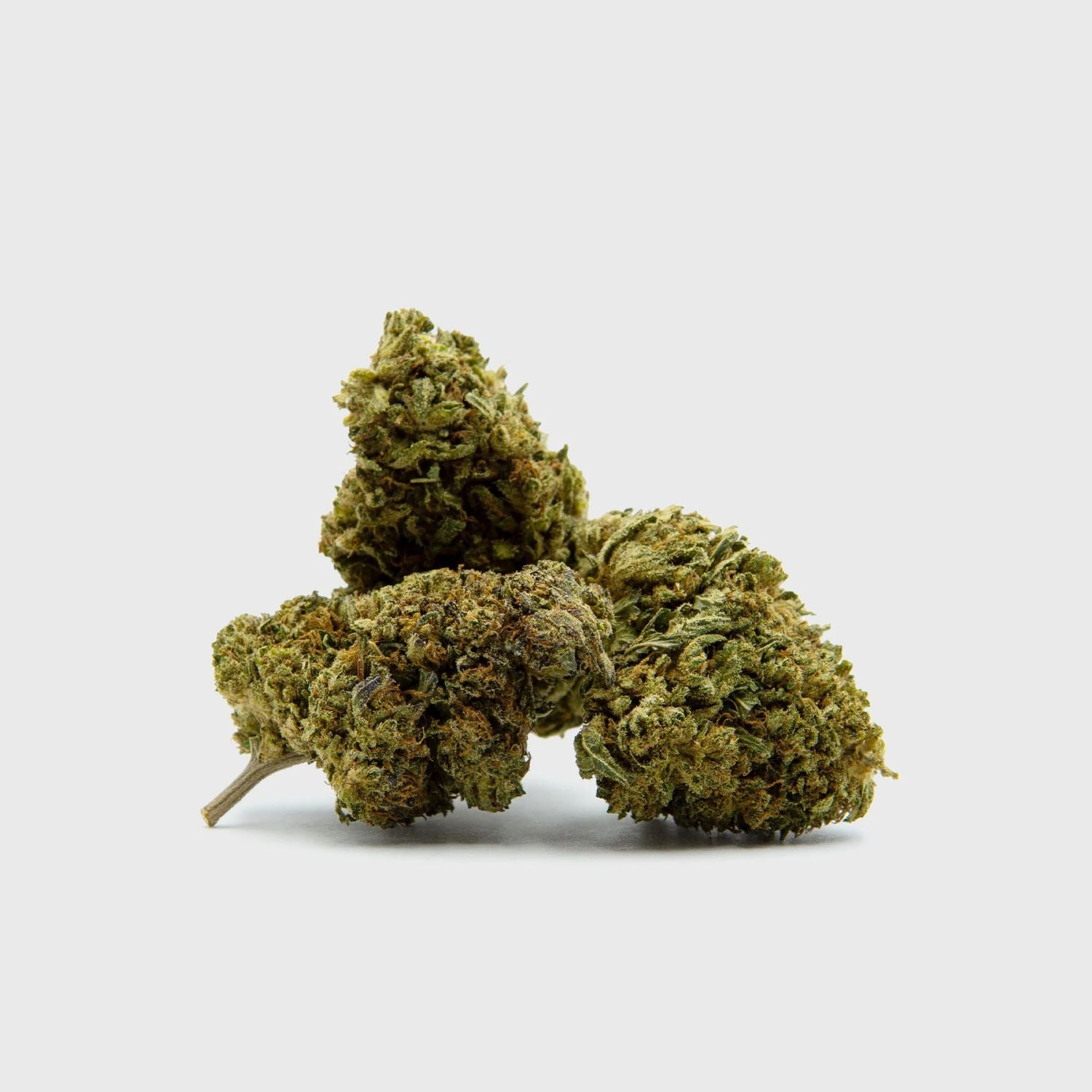 Outdoor Flower - Gelato